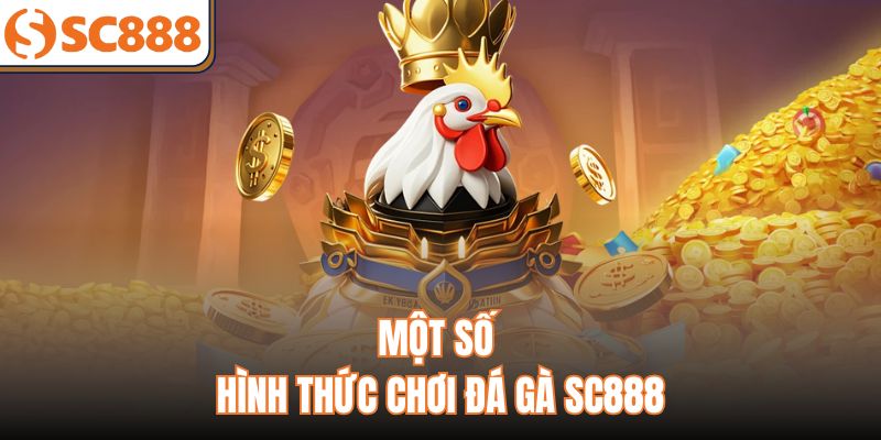 Một số hình thức chơi đá gà SC888